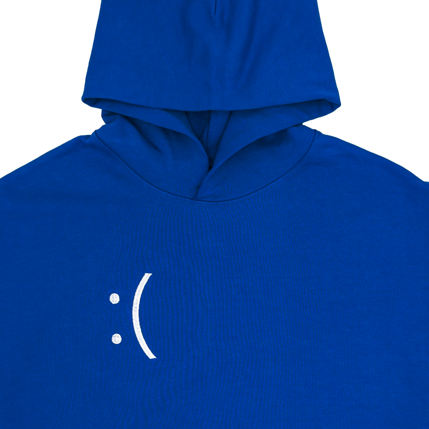 Blue Screen :( Hoodie