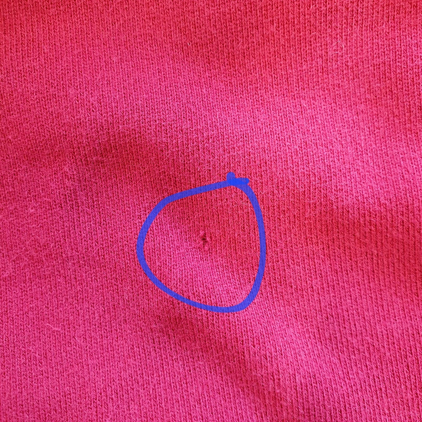 Solitaire Palm Crewneck
