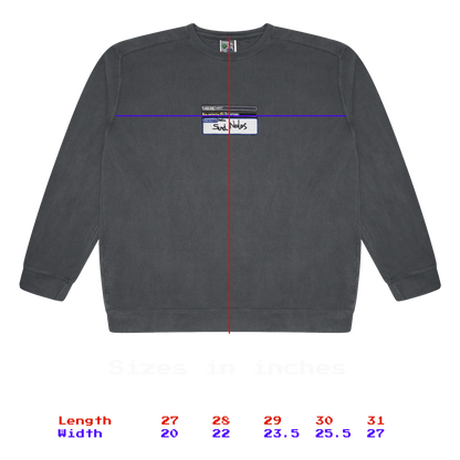 Pictochat Crewneck - Send Nudes